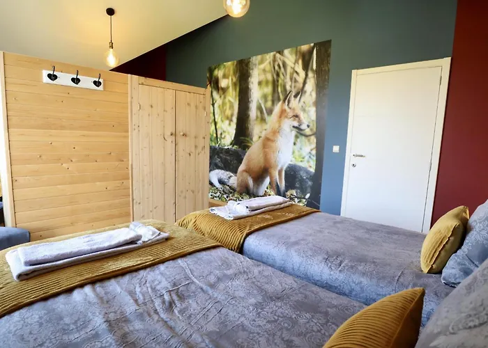 Belvedere Holiday home Houffalize